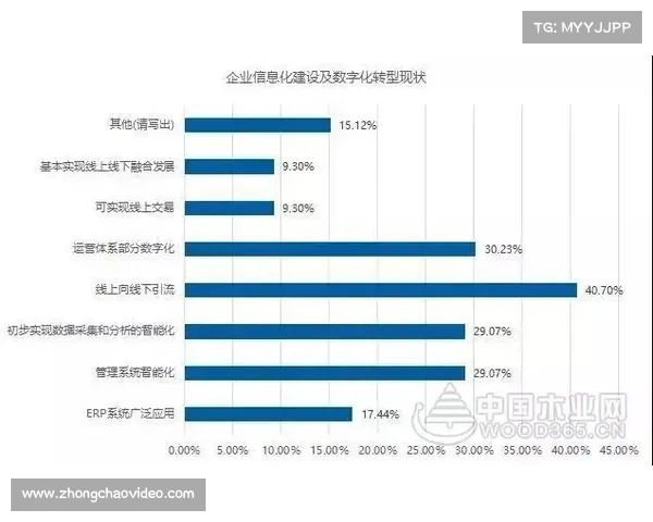 BMX赛事经济效应分析:FISE上海站带动周边商业体客流倍增